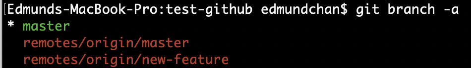 git branch all